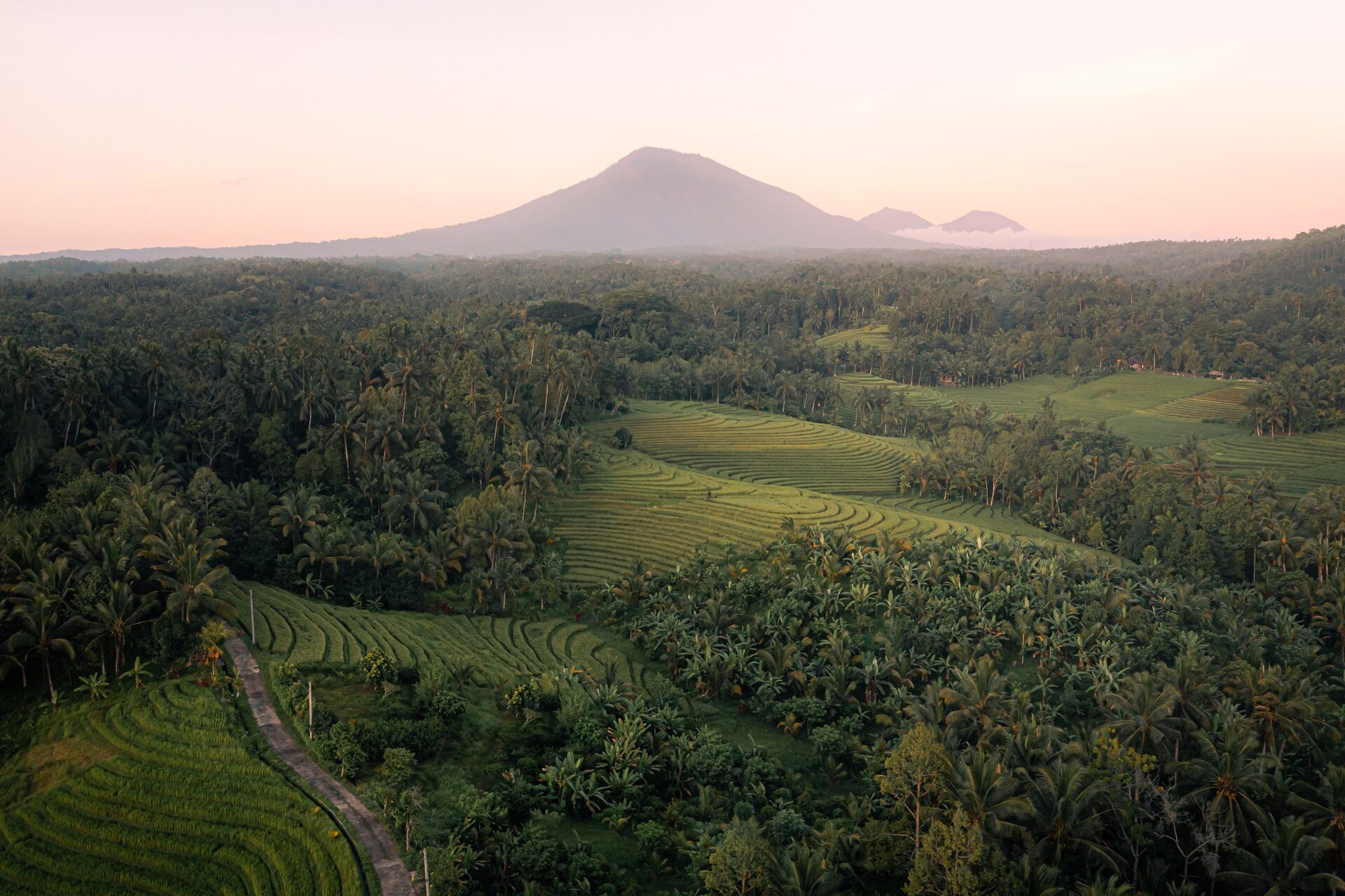 Bali rice terraces and volcano at sunset